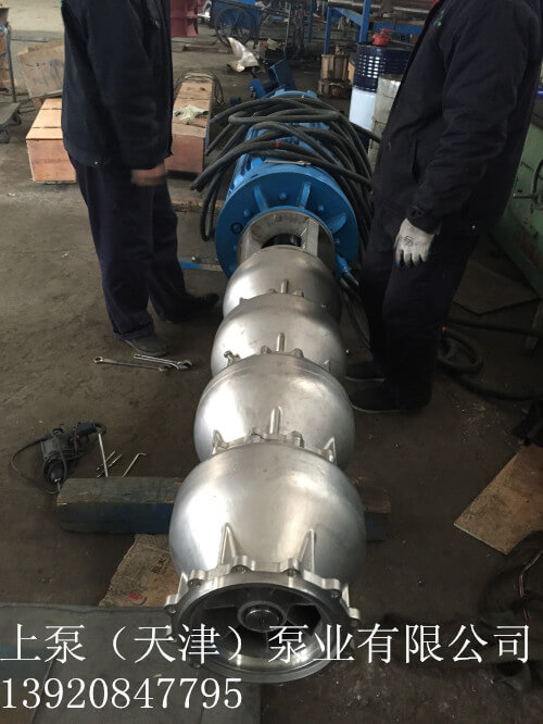 景區(qū)供水專用大流量潛水電泵