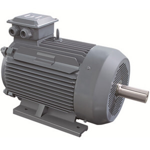 寧波東力YZ/YZR/YZP起重及冶金用電動(dòng)機(jī)