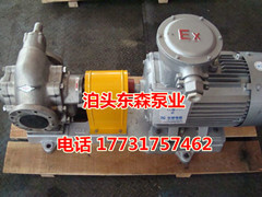 輸送易燃易爆介質(zhì)防爆油泵廠家直銷齒輪油泵 KCB483銅輪油泵