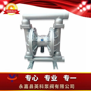 QBY不銹鋼氣動(dòng)隔膜泵