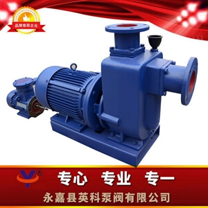 ZWL直聯(lián)式自吸無(wú)堵塞排污泵