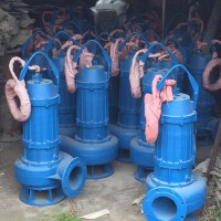 江進泵業(yè)WQ型系列潛水排污泵