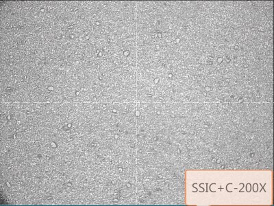 德寶 無(wú)壓燒結(jié)碳化硅加石墨SJP-SG（SSIC+G）圖2