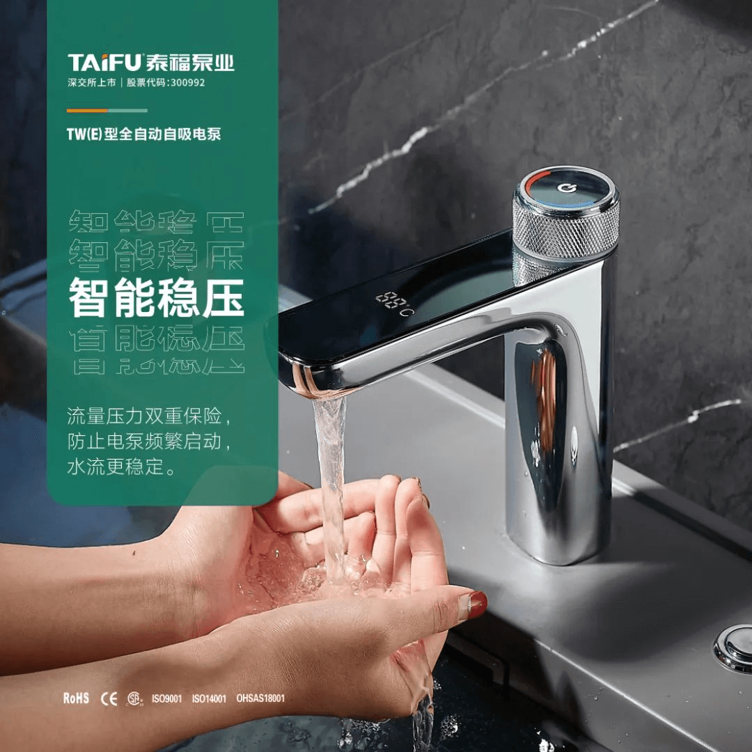 泰福TW（E）型全自動(dòng)自吸電泵