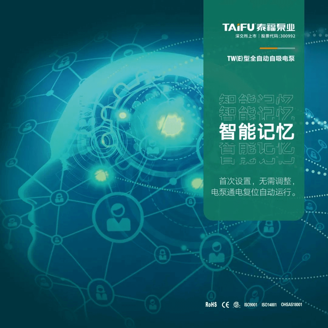 泰福TW（E）型全自動(dòng)自吸電泵