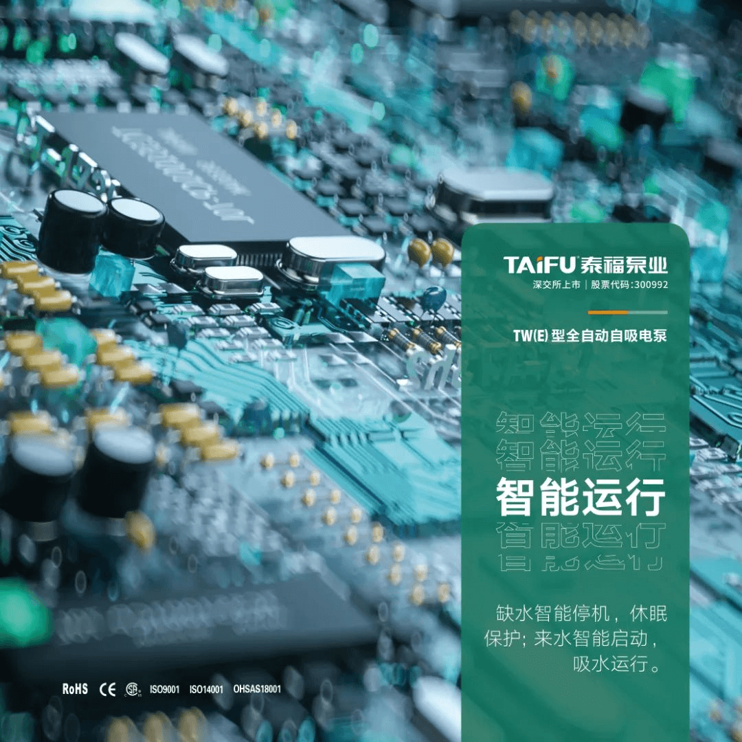 泰福TW（E）型全自動(dòng)自吸電泵