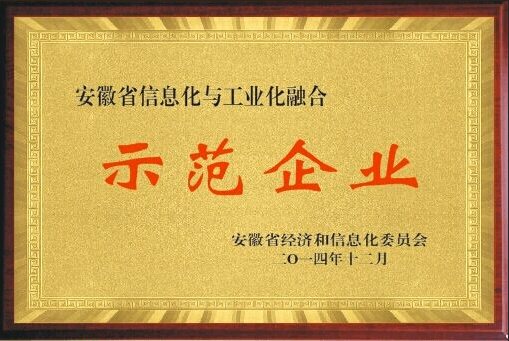 安徽萊恩電泵獲評(píng)安徽省信息化與工業(yè)化融合示范企業(yè)